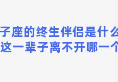 双子座的终生伴侣是什么 双子座这一辈子离不开哪一个星座